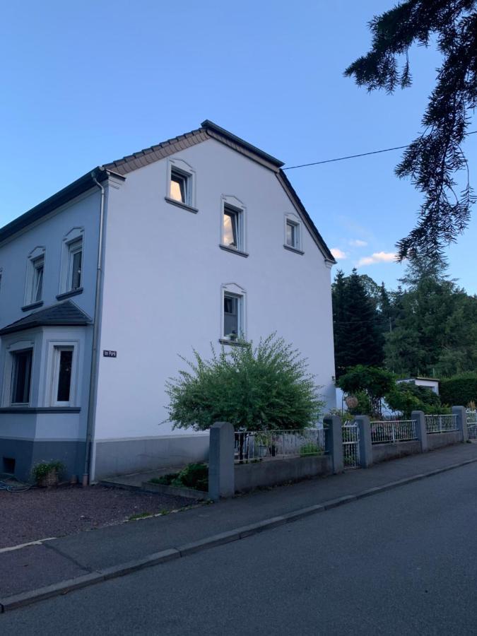 Sascha'S Home Saarlouis Ngoại thất bức ảnh