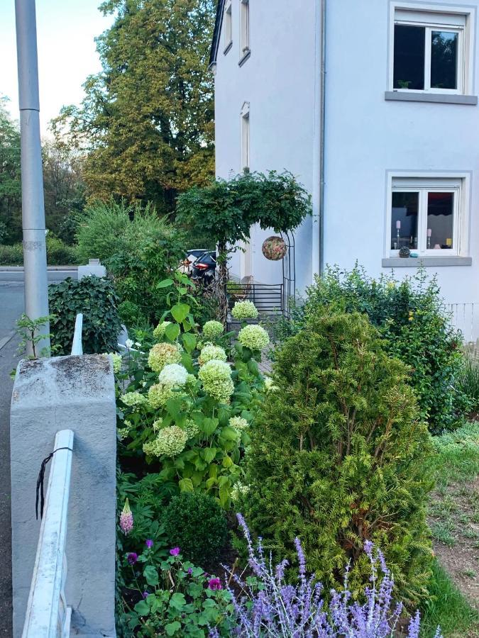 Sascha'S Home Saarlouis Ngoại thất bức ảnh
